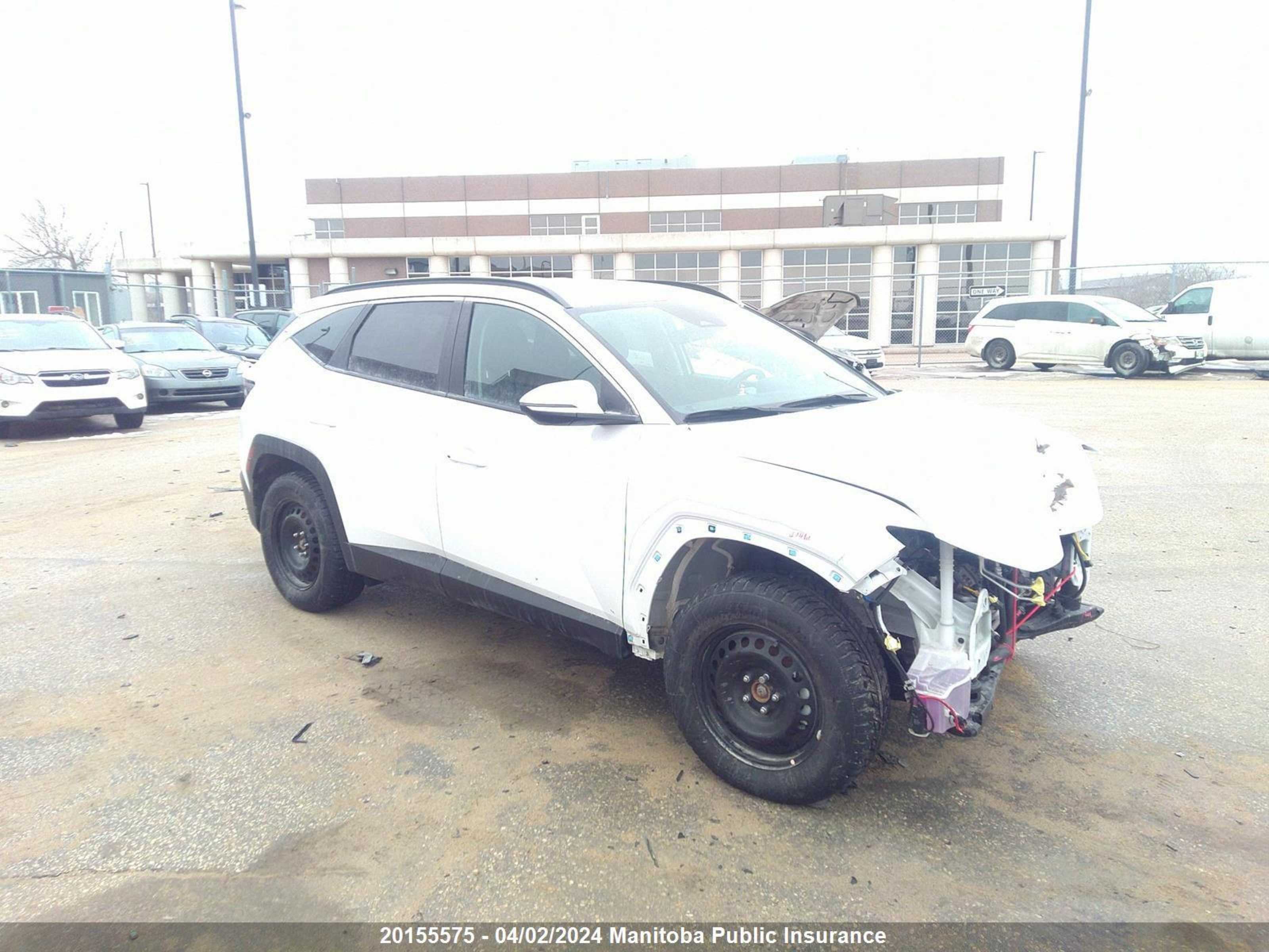 HYUNDAI TUCSON 2024 km8jbcde3ru289303