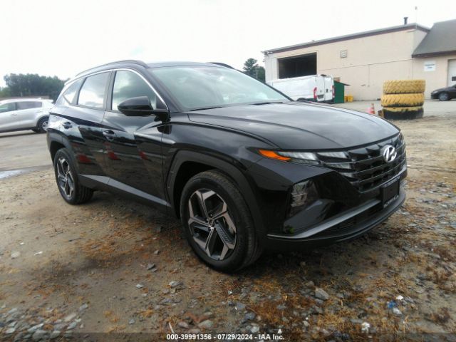 HYUNDAI TUCSON 2024 km8jbdd22ru187924