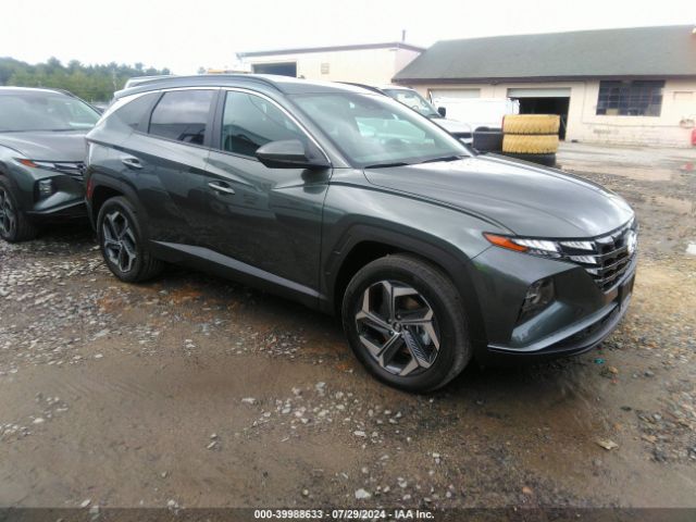 HYUNDAI TUCSON 2024 km8jbdd22ru229072