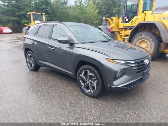 HYUNDAI TUCSON 2024 km8jbdd22ru232280