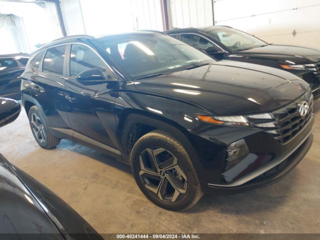 HYUNDAI TUCSON 2024 km8jbdd22ru233932