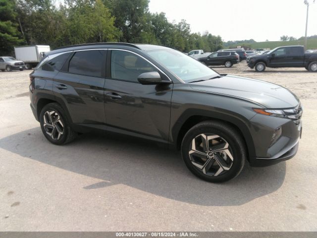 HYUNDAI TUCSON 2024 km8jbdd23ru231929