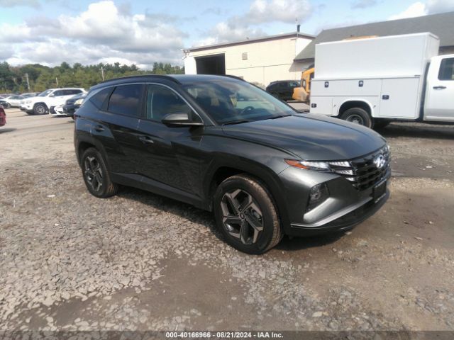 HYUNDAI TUCSON 2024 km8jbdd25ru232404