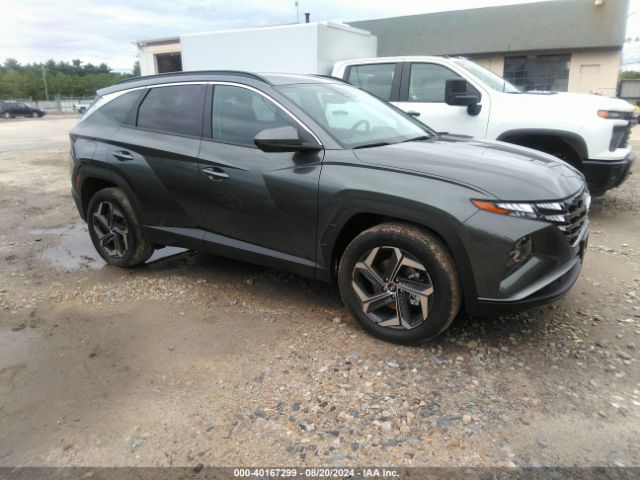 HYUNDAI TUCSON 2024 km8jbdd25ru232466