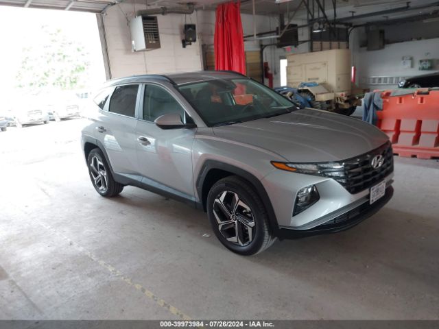 HYUNDAI TUCSON 2024 km8jbdd25ru232662