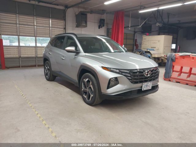 HYUNDAI TUCSON 2024 km8jbdd26ru232105