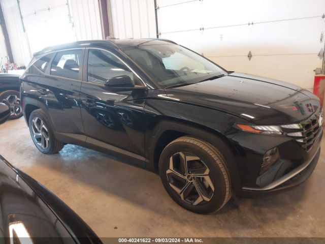 HYUNDAI TUCSON 2024 km8jbdd26ru234274