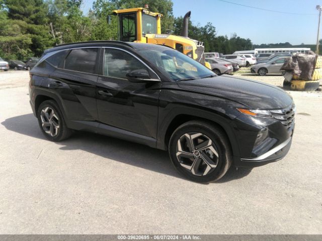 HYUNDAI TUCSON 2024 km8jbdd29ru181098