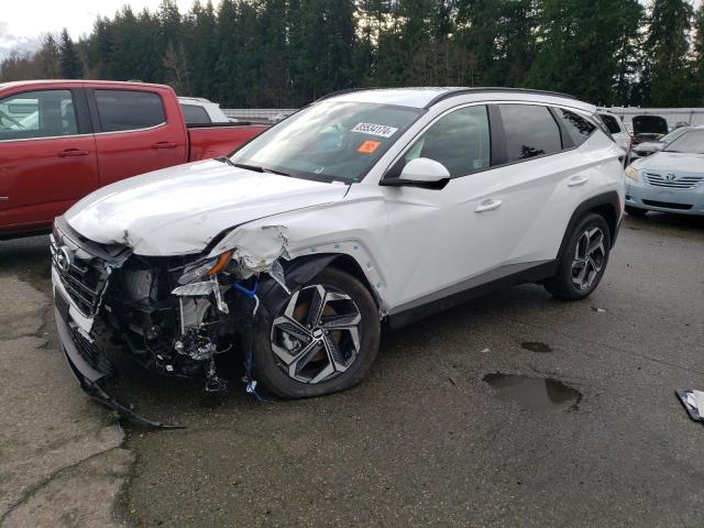 HYUNDAI TUCSON SEL 2024 km8jbdd29ru189007