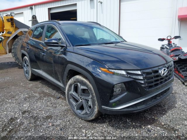 HYUNDAI TUCSON 2024 km8jbdd29ru220966