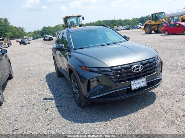 HYUNDAI TUCSON 2024 km8jbdd29ru231918