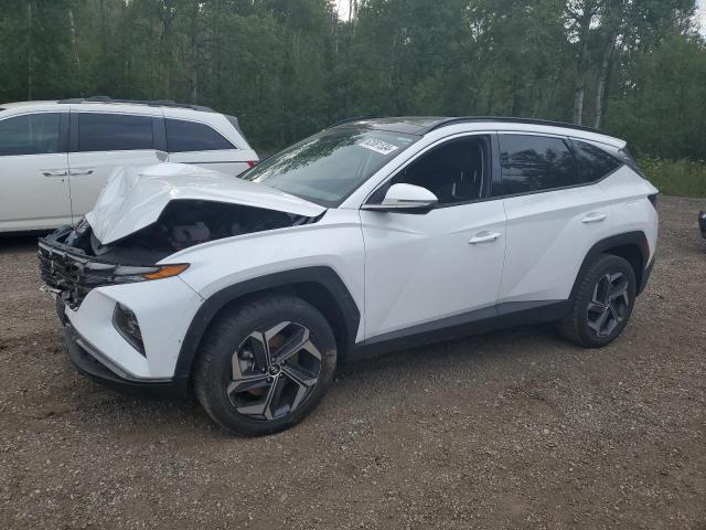 HYUNDAI TUCSON LUX 2023 km8jcca11pu119291