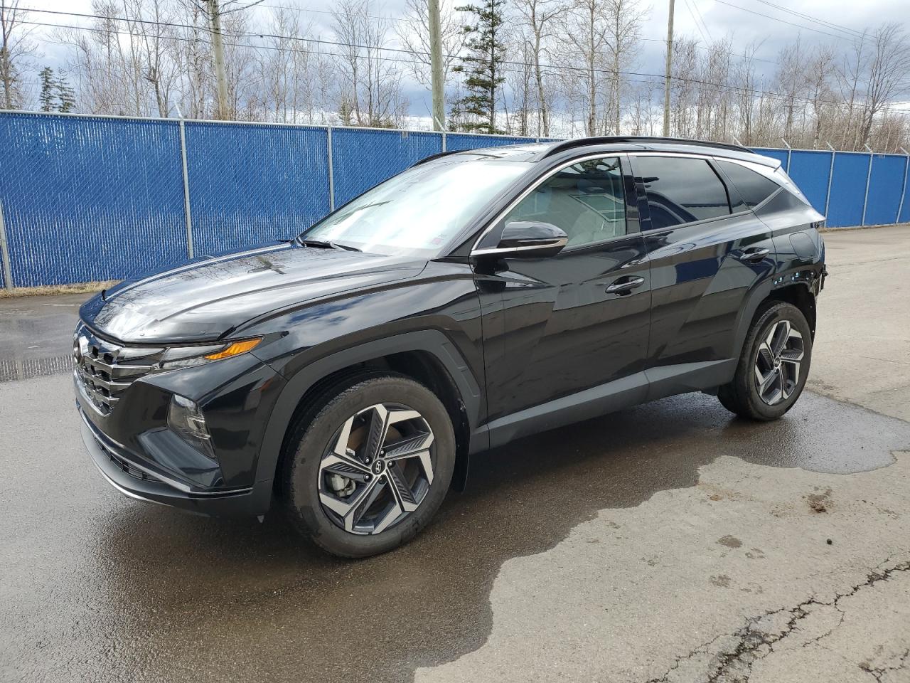 HYUNDAI TUCSON 2023 km8jcca13pu130292