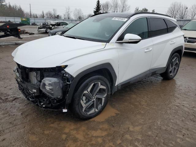 HYUNDAI TUCSON 2023 km8jcca17pu100938