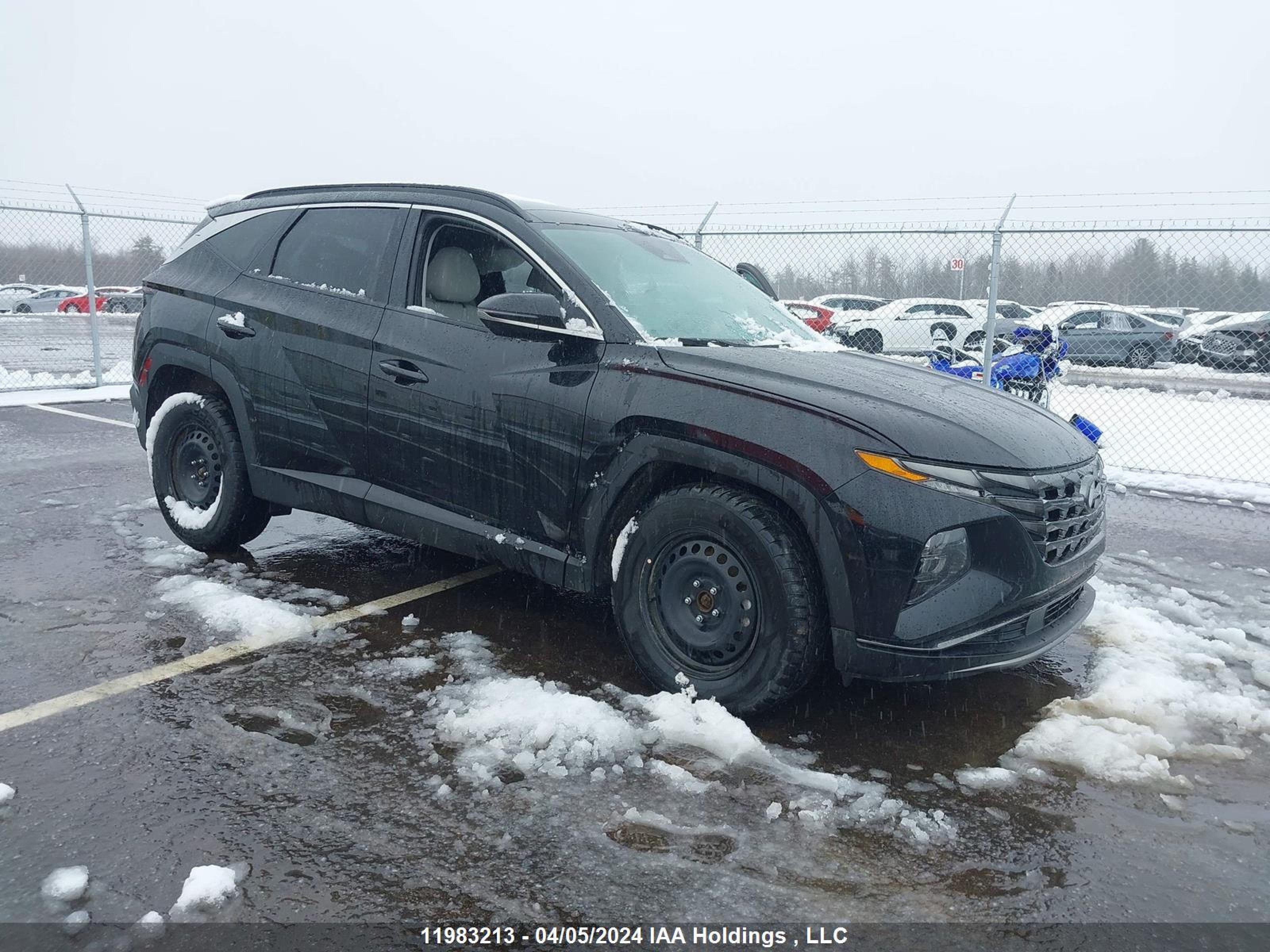 HYUNDAI TUCSON 2023 km8jcca18pu131521