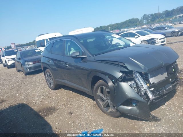 HYUNDAI TUCSON 2024 km8jccd11ru238246