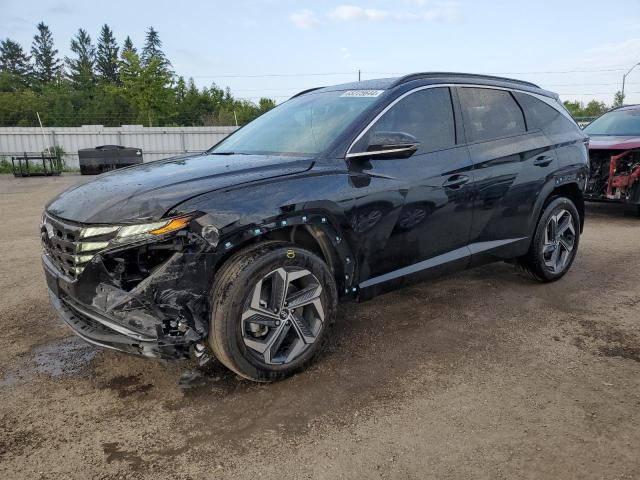 HYUNDAI TUCSON SEL 2024 km8jccd13ru177174