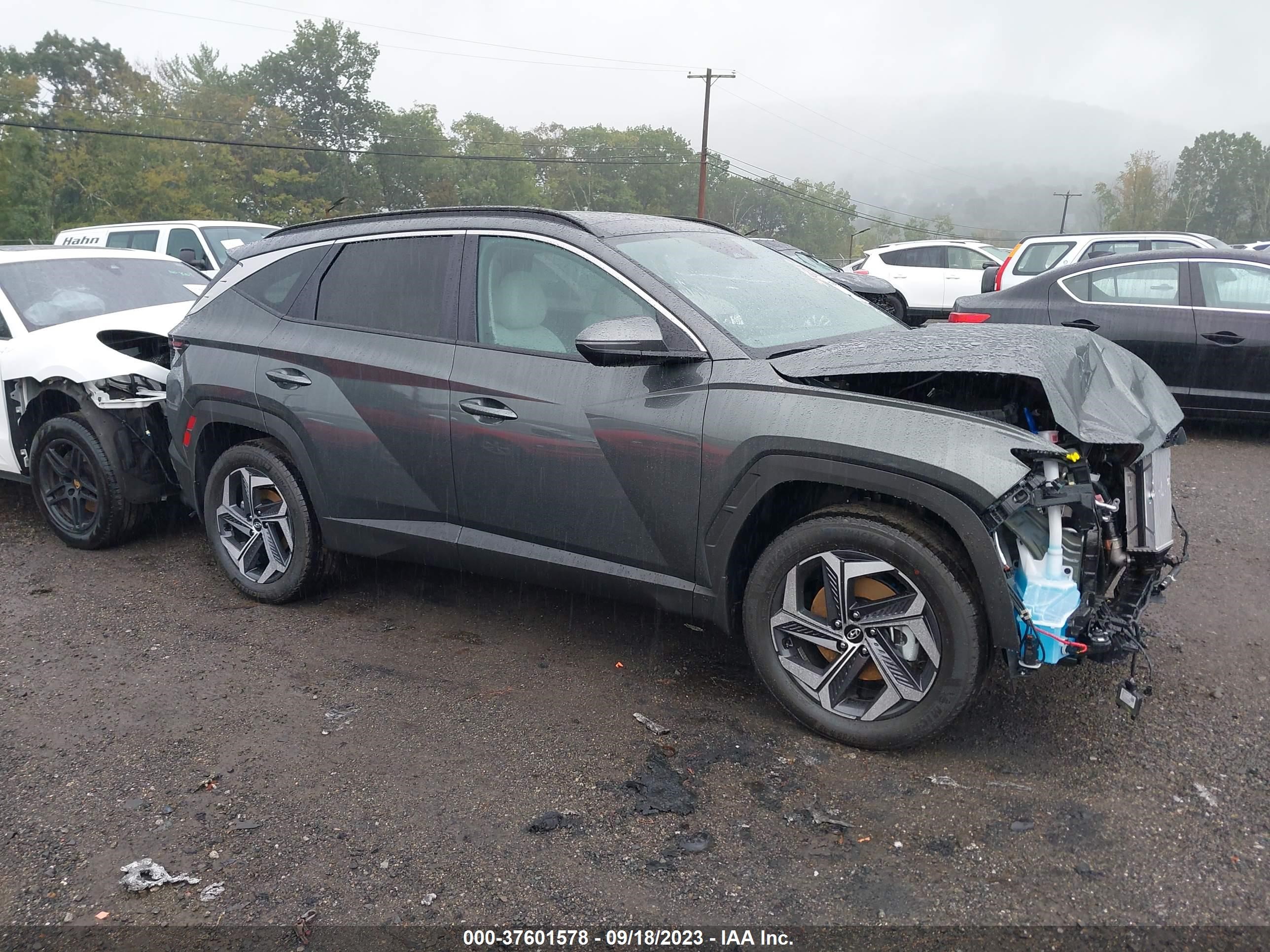 HYUNDAI TUCSON 2024 km8jccd17ru139057