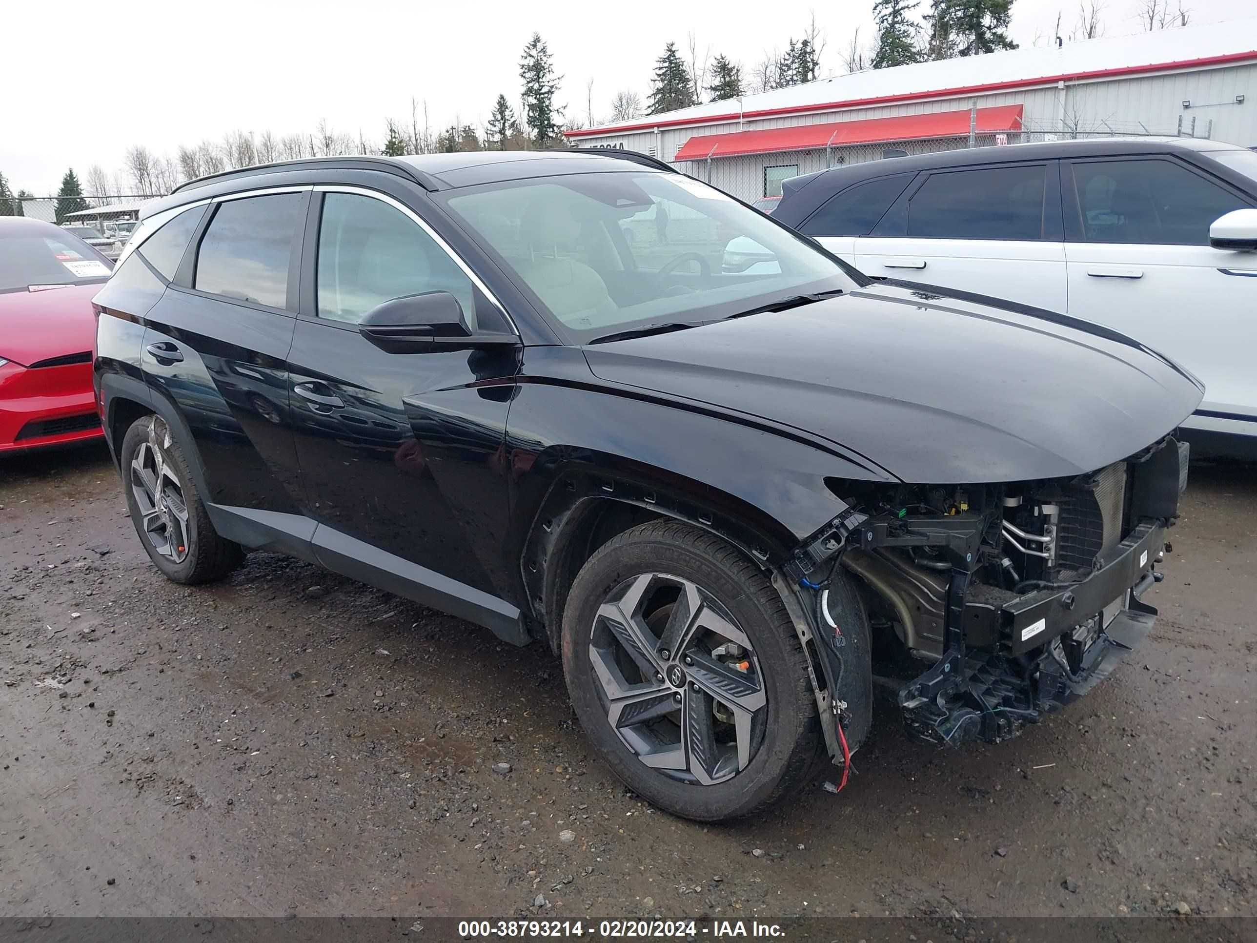 HYUNDAI TUCSON 2024 km8jccd18ru142940