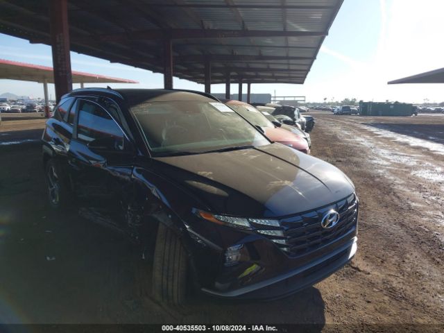 HYUNDAI TUCSON 2024 km8jccd18ru172150