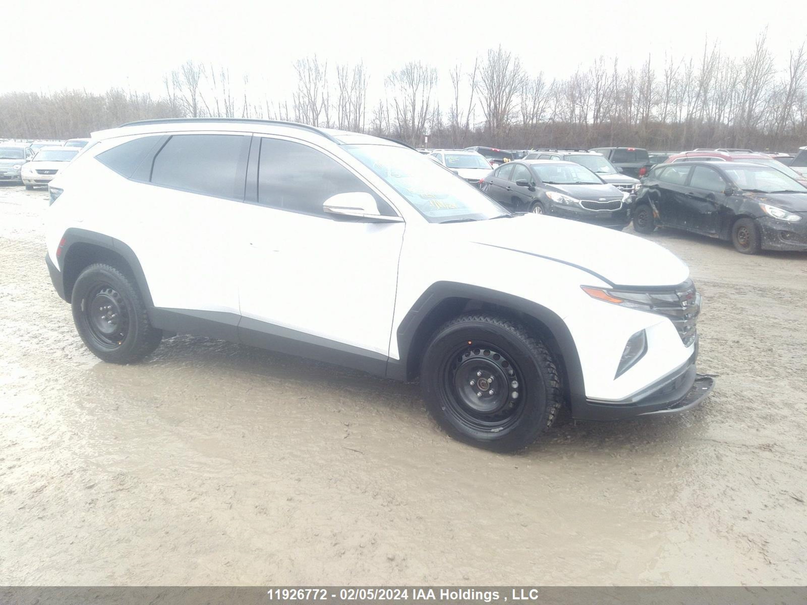 HYUNDAI TUCSON 2023 km8jdda21pu135910