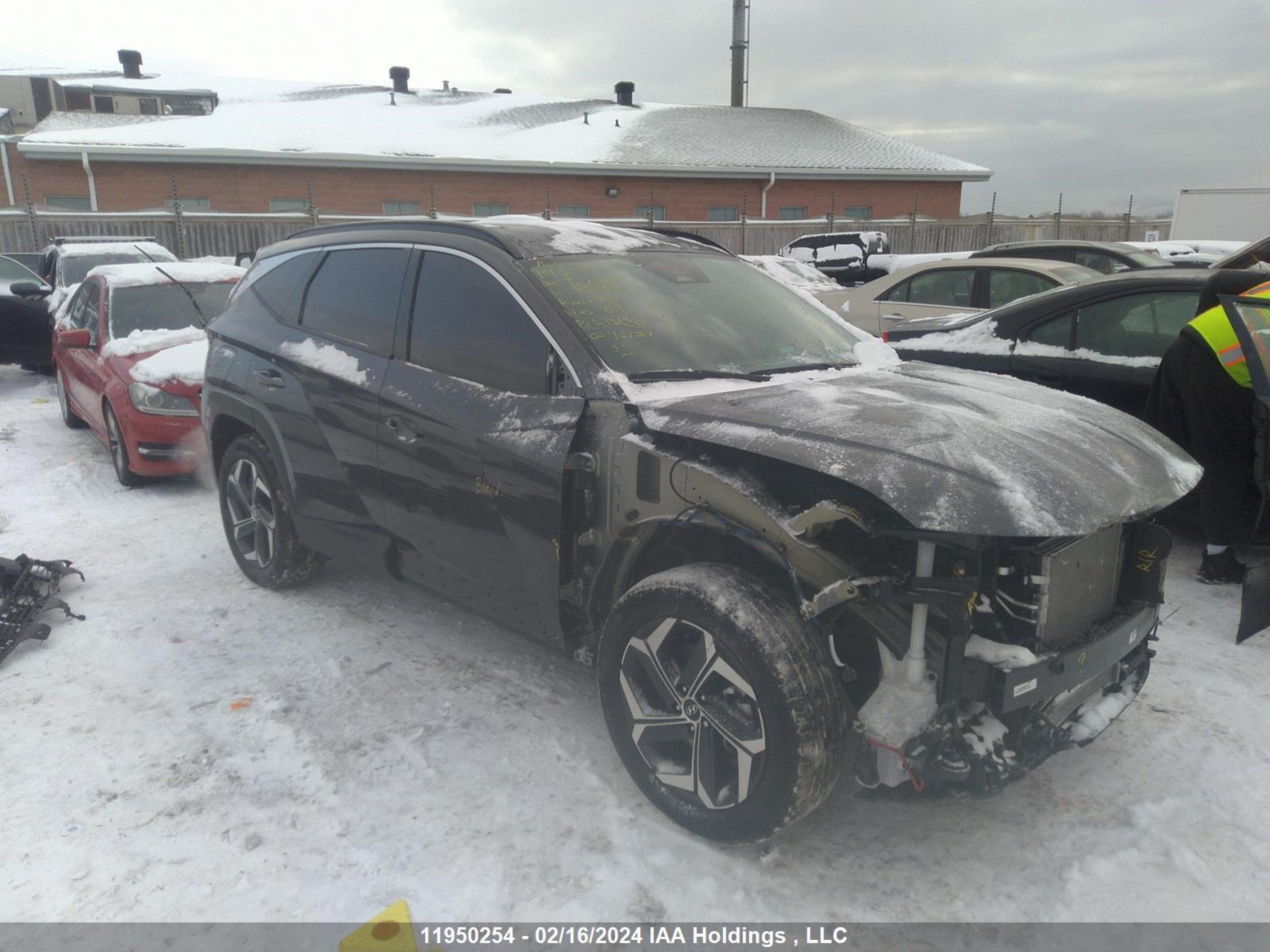 HYUNDAI TUCSON 2024 km8jddd29ru145292