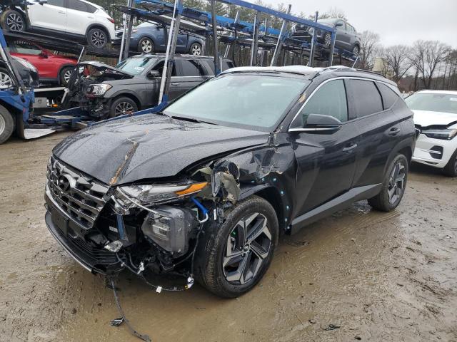 HYUNDAI TUCSON 2023 km8jeca13pu134045