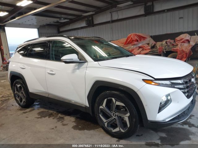 HYUNDAI TUCSON HYBRID 2022 km8jeca16nu071648