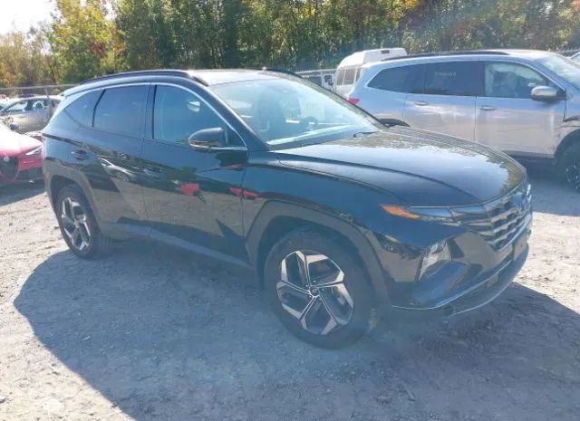 HYUNDAI TUCSON HYBRID 2023 km8jeca17pu097940