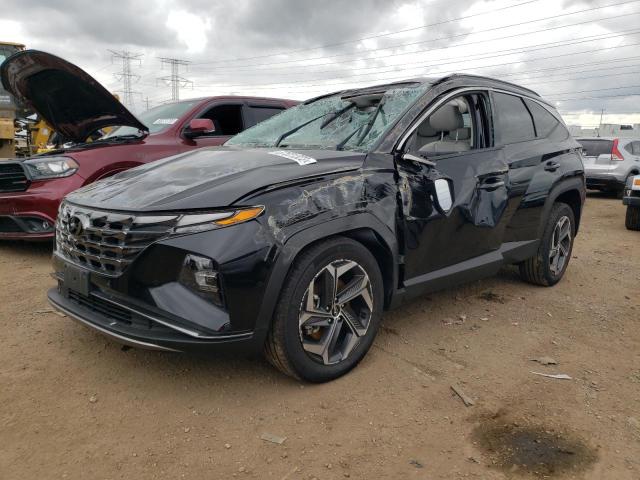 HYUNDAI TUCSON LIM 2023 km8jeca19pu089161