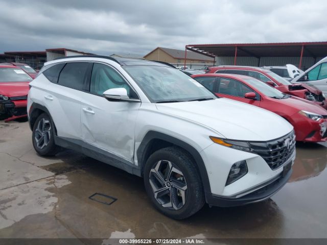 HYUNDAI TUCSON 2023 km8jeca19pu124152