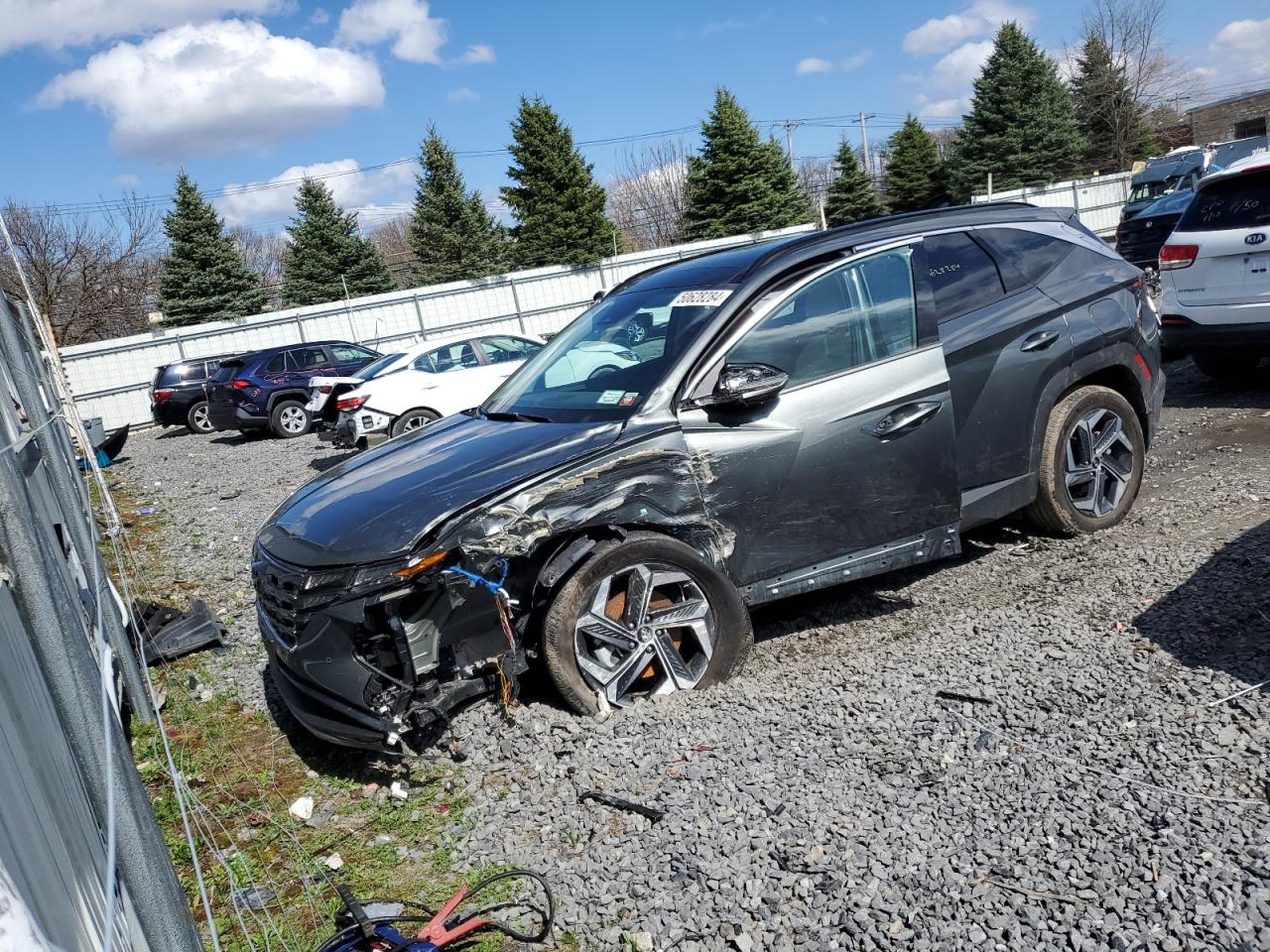 HYUNDAI TUCSON 2023 km8jeca1xpu128050