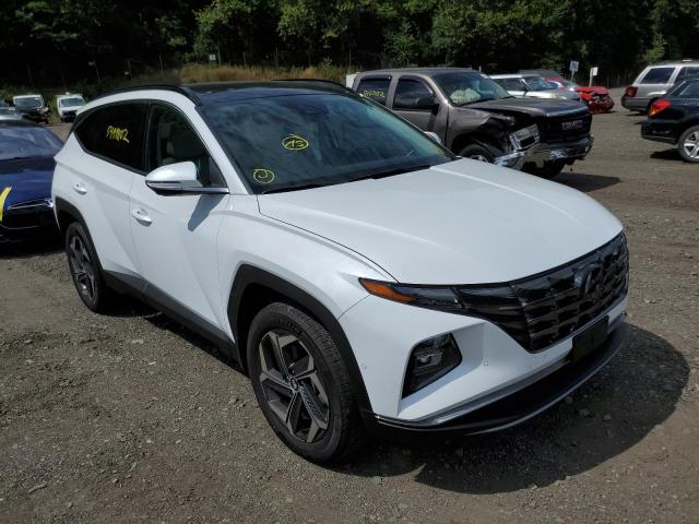 HYUNDAI TUCSON LIM 2022 km8jecae3nu153436