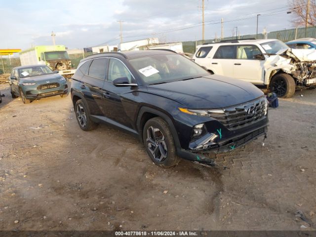 HYUNDAI TUCSON 2024 km8jecd13ru146176