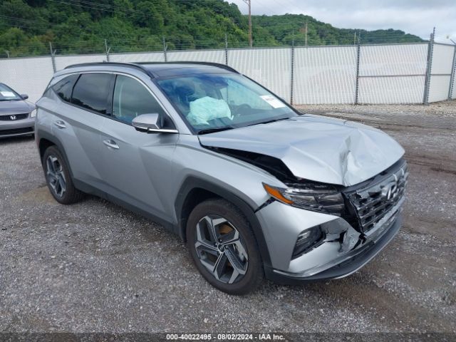 HYUNDAI TUCSON 2024 km8jecd18ru179027