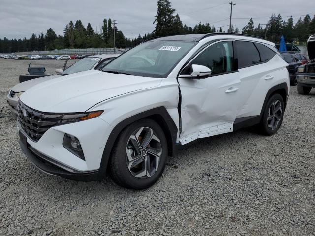 HYUNDAI TUCSON 2024 km8jecd19ru179568