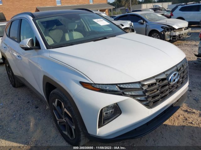 HYUNDAI TUCSON HYBRID 2023 km8jfca11pu096053