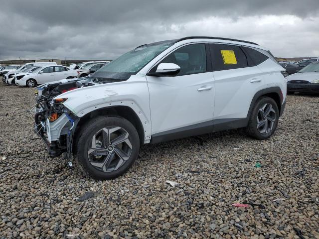 HYUNDAI TUCSON 2023 km8jfca11pu099695