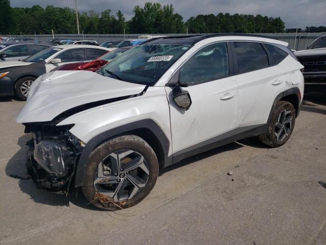 HYUNDAI TUCSON SEL 2023 km8jfca13pu089430