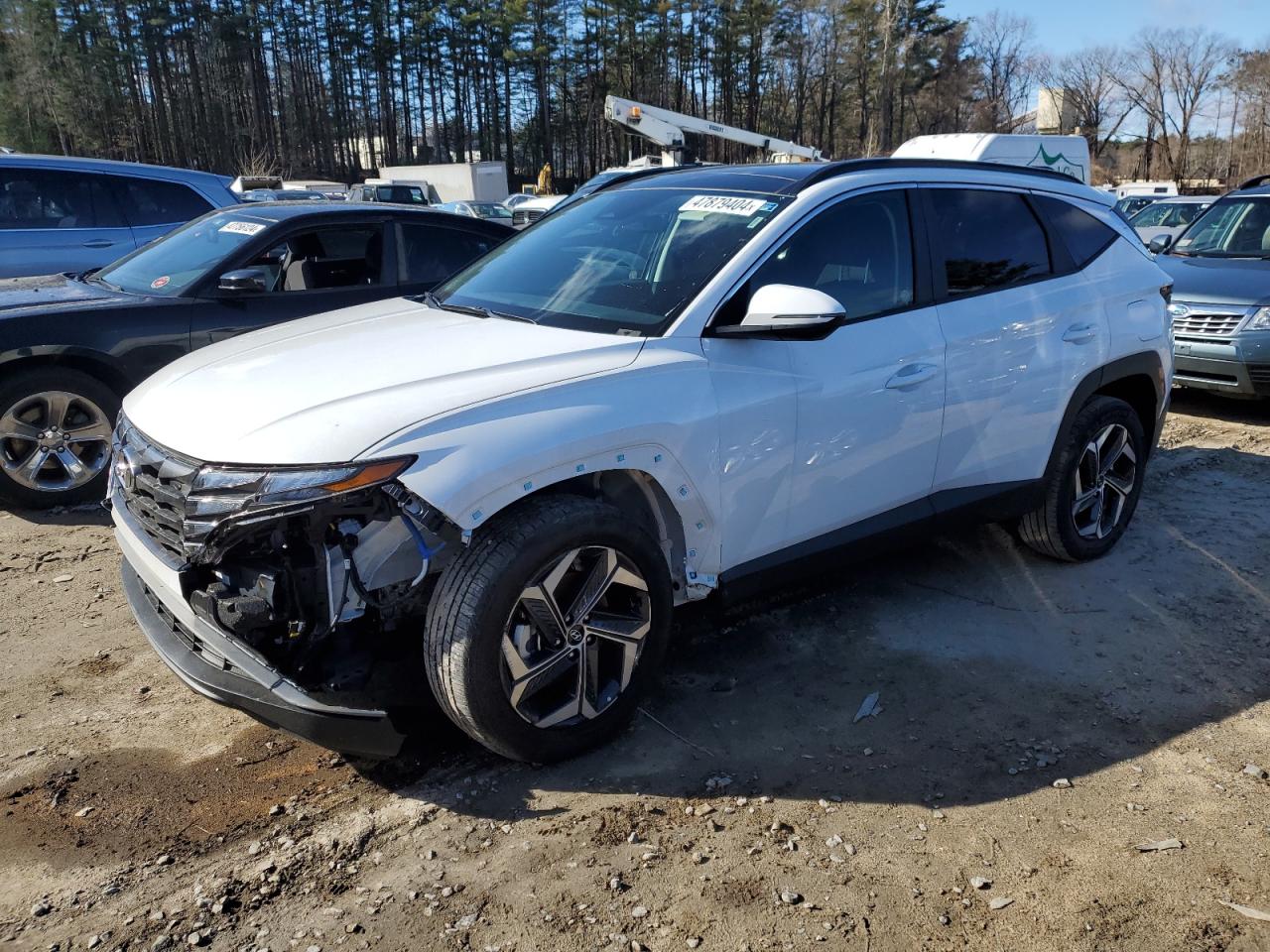 HYUNDAI TUCSON 2023 km8jfca13pu132681