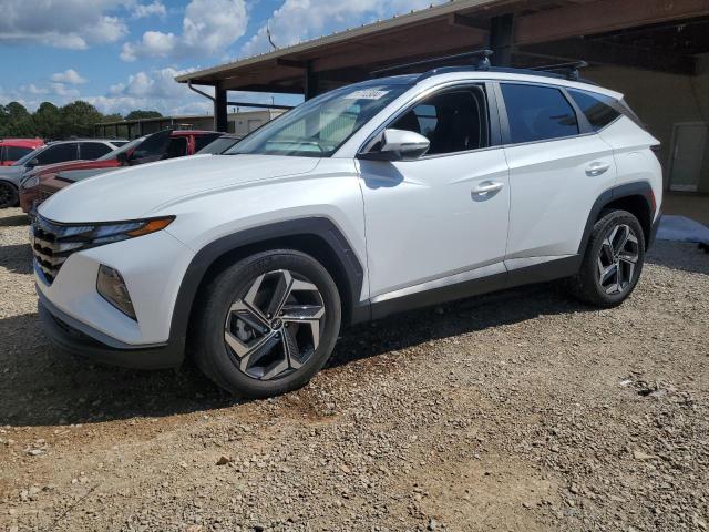 HYUNDAI TUCSON SEL 2022 km8jfca19nu043291