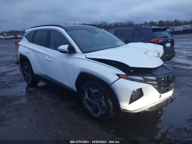 HYUNDAI TUCSON HYBRID 2022 km8jfca19nu043601