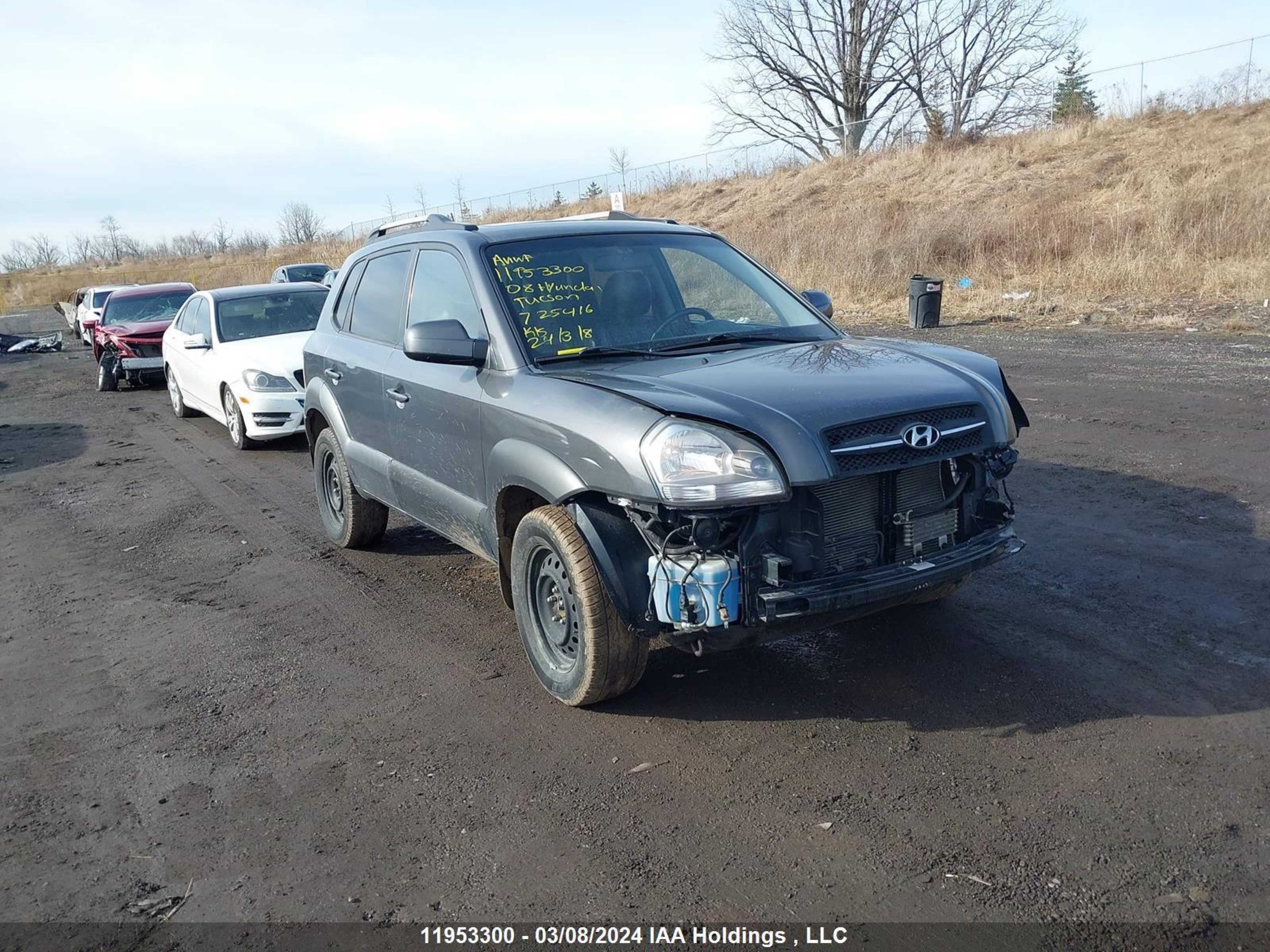 HYUNDAI TUCSON 2008 km8jm72d38u725416