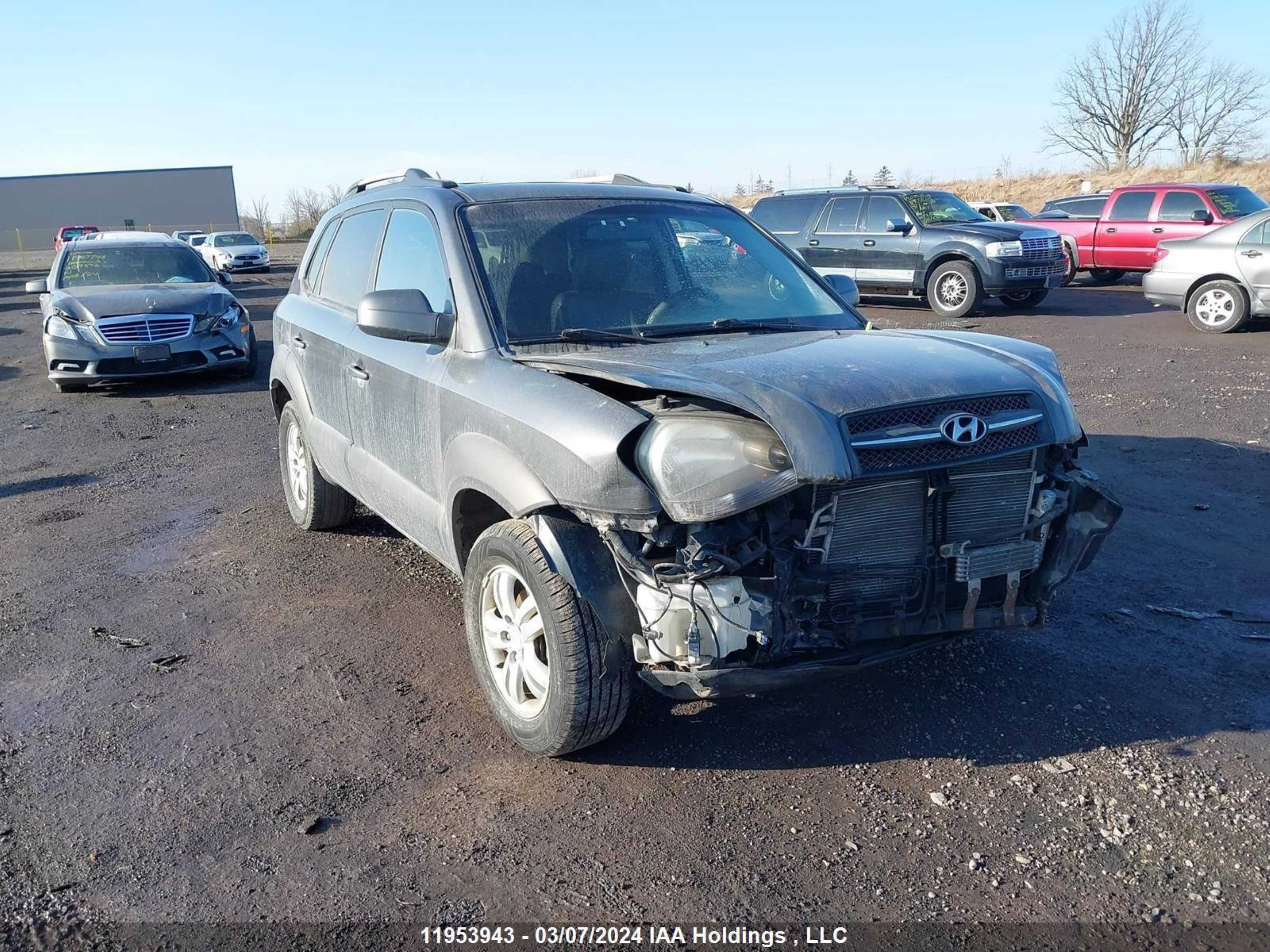 HYUNDAI TUCSON 2008 km8jm72d58u885829