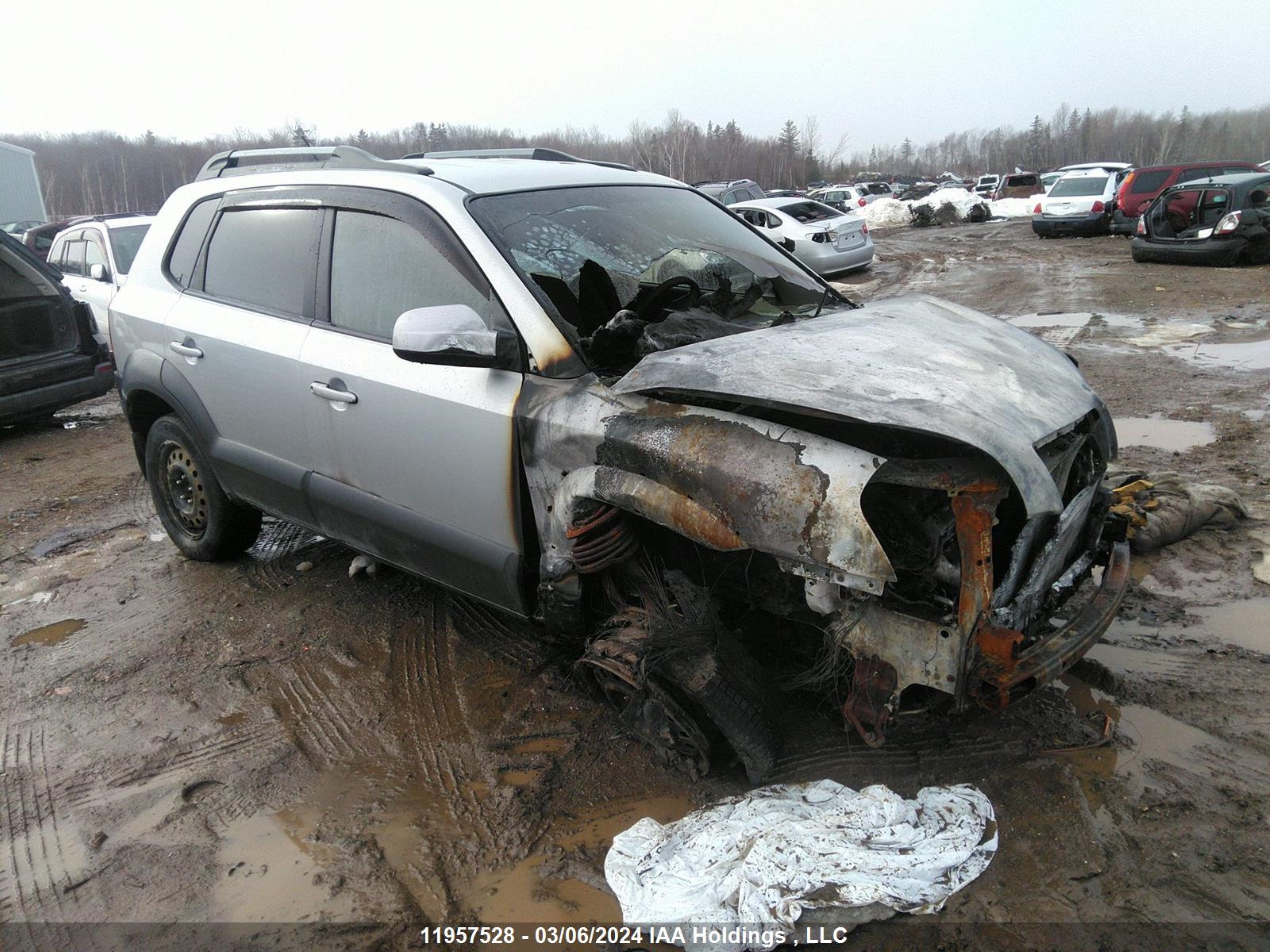 HYUNDAI TUCSON 2008 km8jm72d78u871043