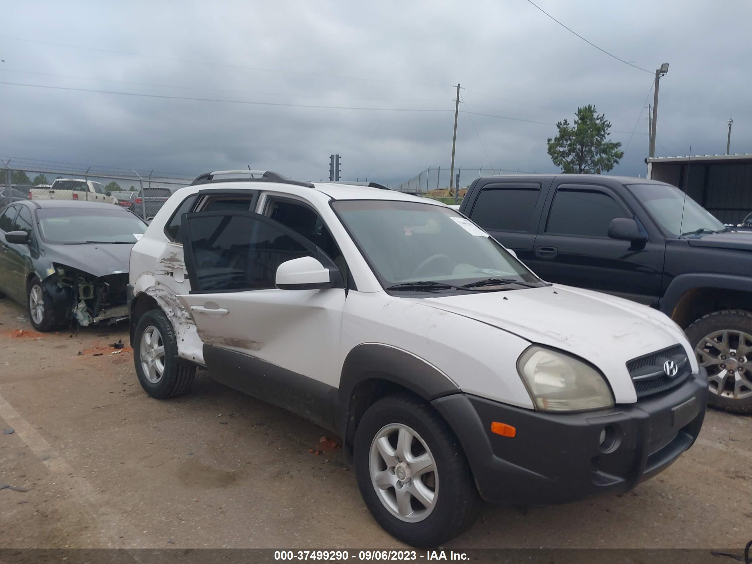 HYUNDAI TUCSON 2005 km8jn12d05u070072