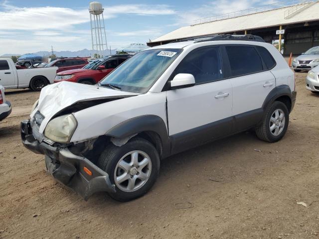 HYUNDAI TUCSON GLS 2005 km8jn72d55u210779