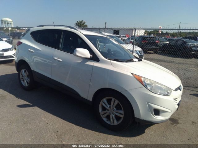 HYUNDAI TUCSON 2010 km8ju3ac0au019544