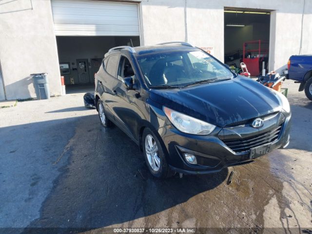 HYUNDAI TUCSON 2013 km8ju3ac1du577164