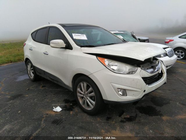 HYUNDAI TUCSON 2010 km8ju3ac8au020974